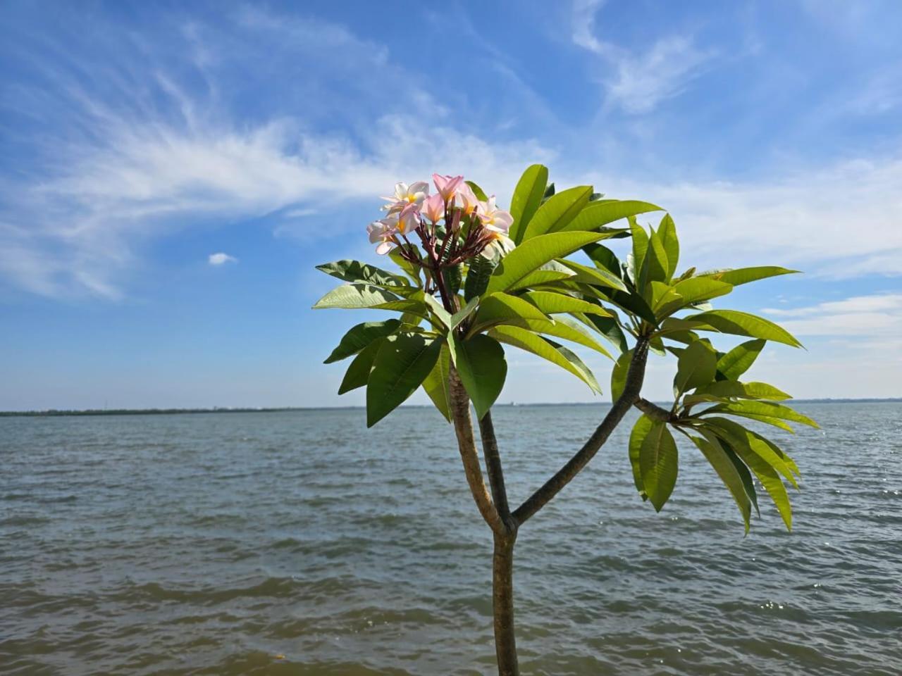 Lagoon Bay Resort Negombo Esterno foto